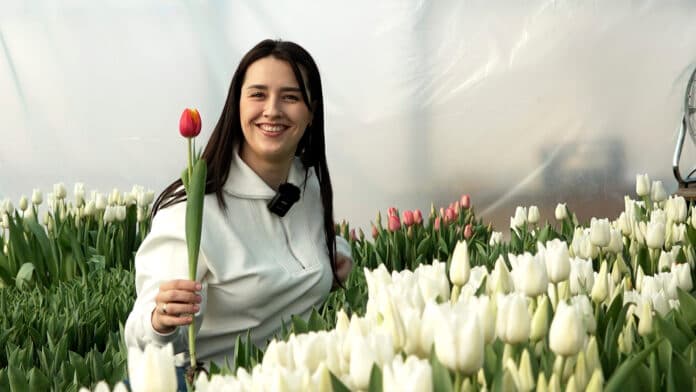O tânără din Moldova cultivă lalele de vis. Cum a transformat o seră într-o afacere de succes