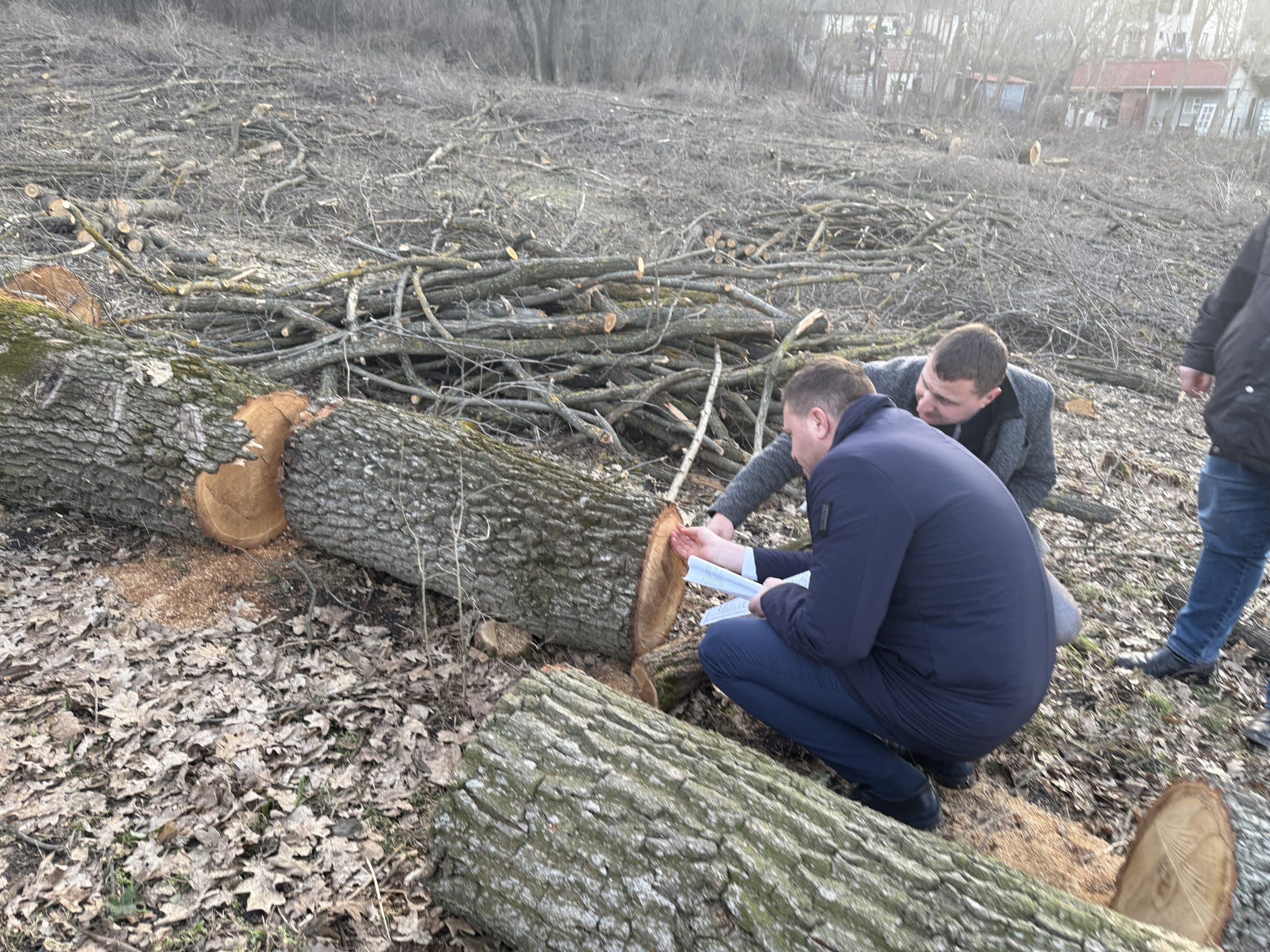 Scandal la Chetrosu: Ministrul Mediului verifică tăierile ilegale din pădure, după acuzații publice