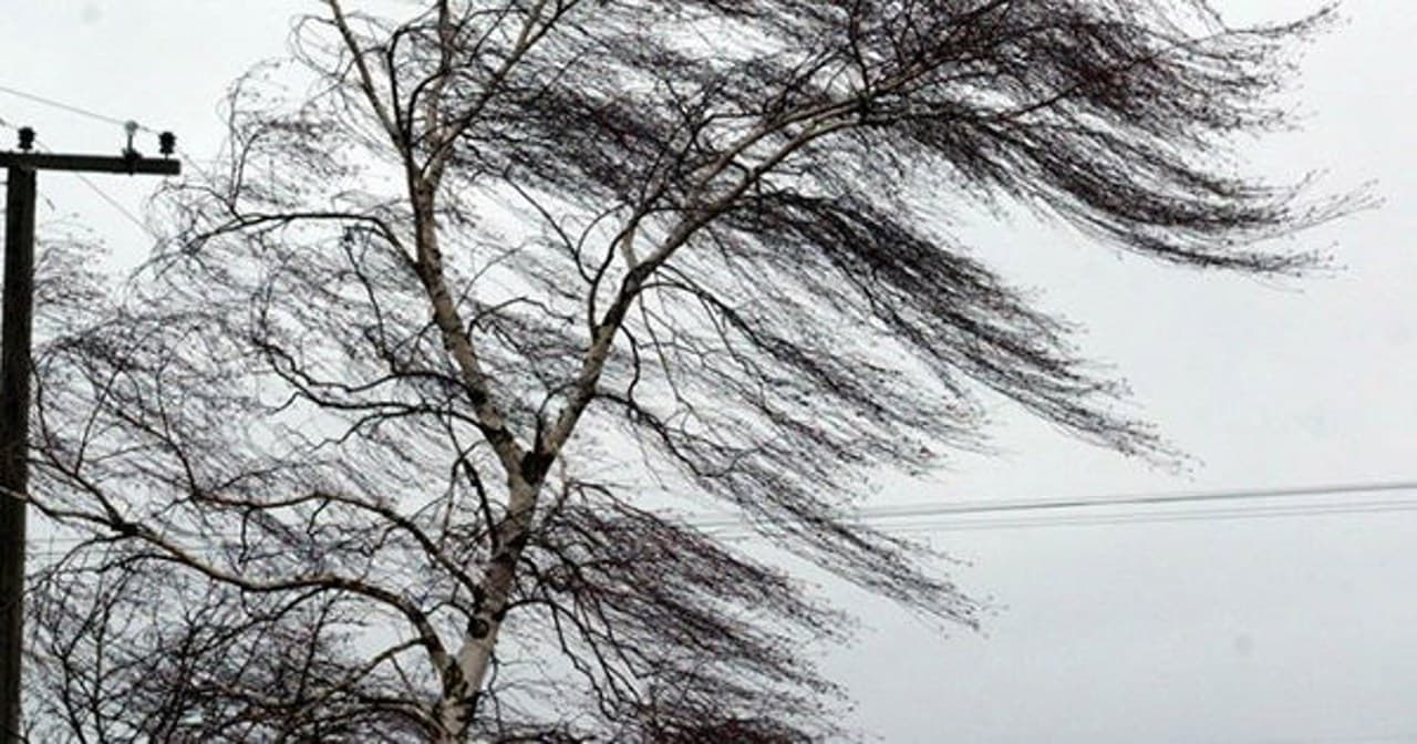 Vânt puternic și ploi slabe în Moldova. Meteorologii au emis Cod Galben