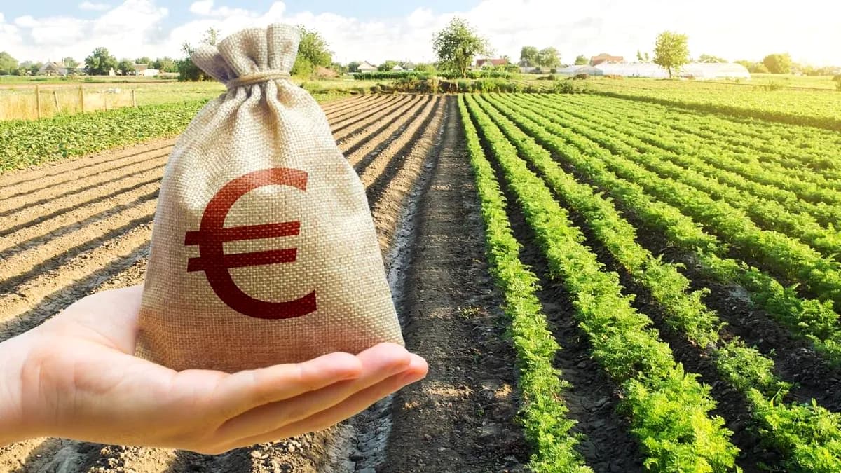 AIPA a autorizat peste 31 milioane lei pentru investiții în agricultură și dezvoltare rurală