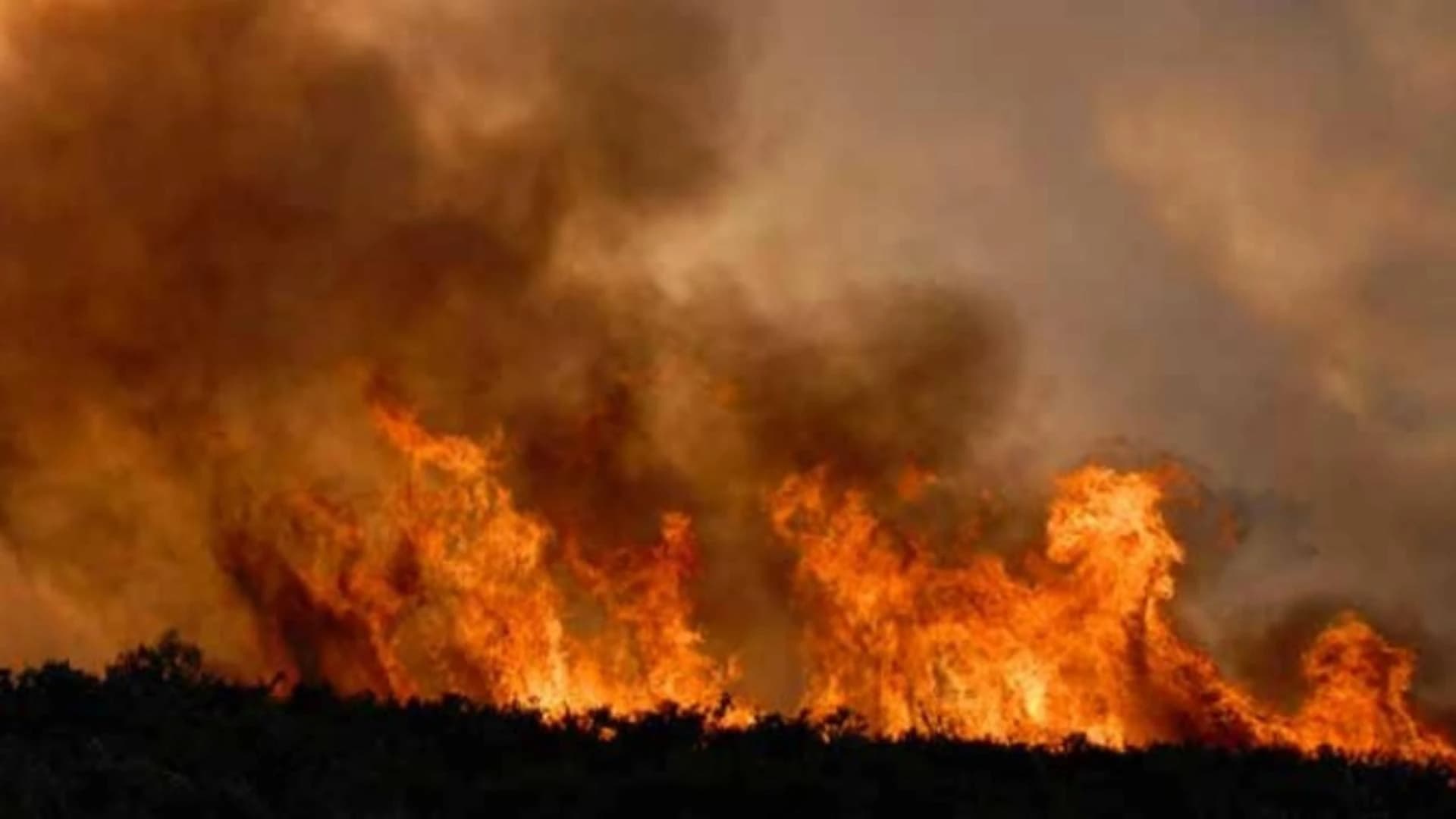 A decedat încercând să stingă un incendiu de vegetație, care a izbucnit în gospodărie
