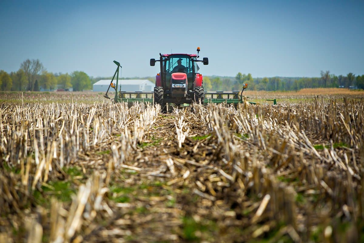 Agricultura no-till aduce profit fermierilor americani