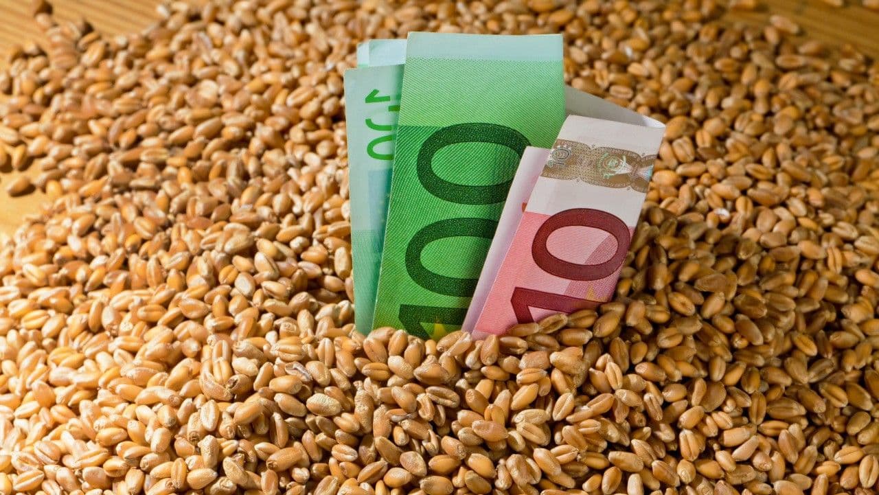 Cine dictează prețul cerealelor? China mișcă piețele, iar recolta 2025 aduce neliniște