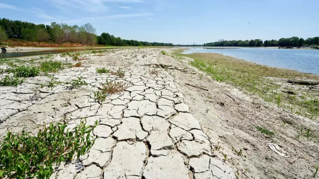 Seceta a compromis circa 33 mii de hectare de culturi agricole