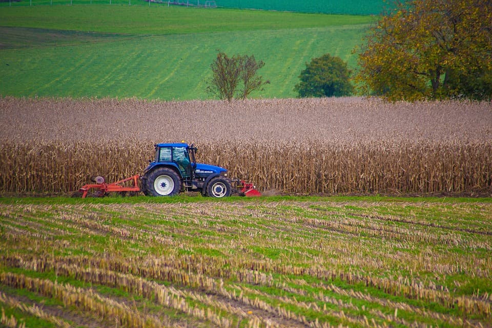 Asigurările agricole, neglijate în Moldova: lipsa încrederii și a suportului afectează fermierii