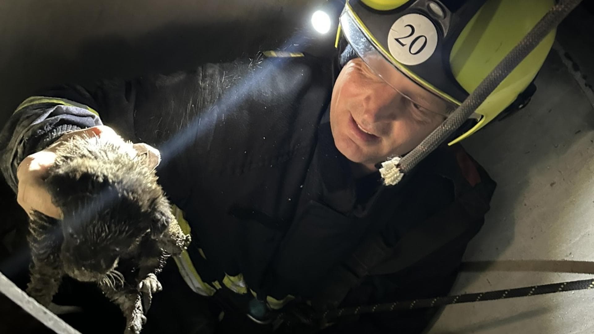Cățel salvat de pompieri după ce a căzut într-o fântână de 15 metri la Slobozia-Dușca