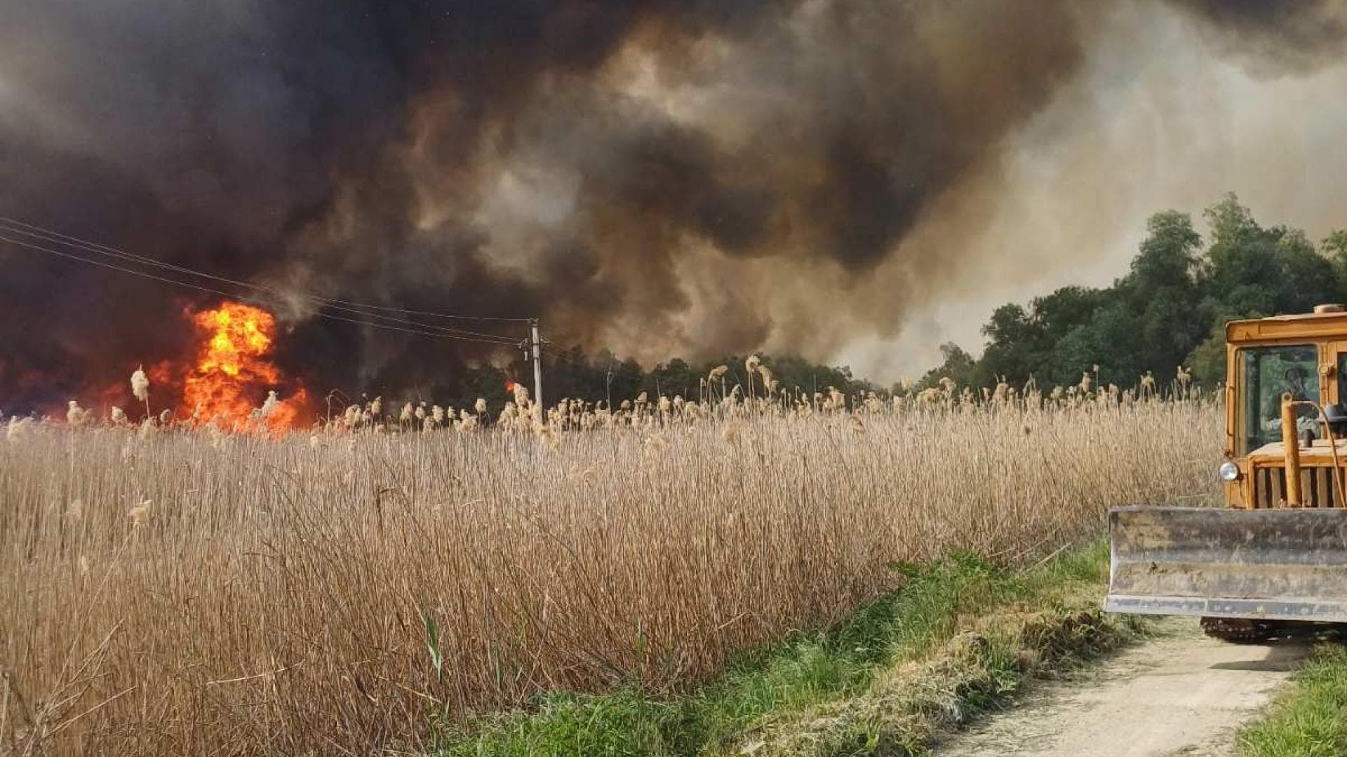 Incendiu de proporții în Cahul: 30 de hectare cu stuf, afectate în apropierea unei sonde petroliere