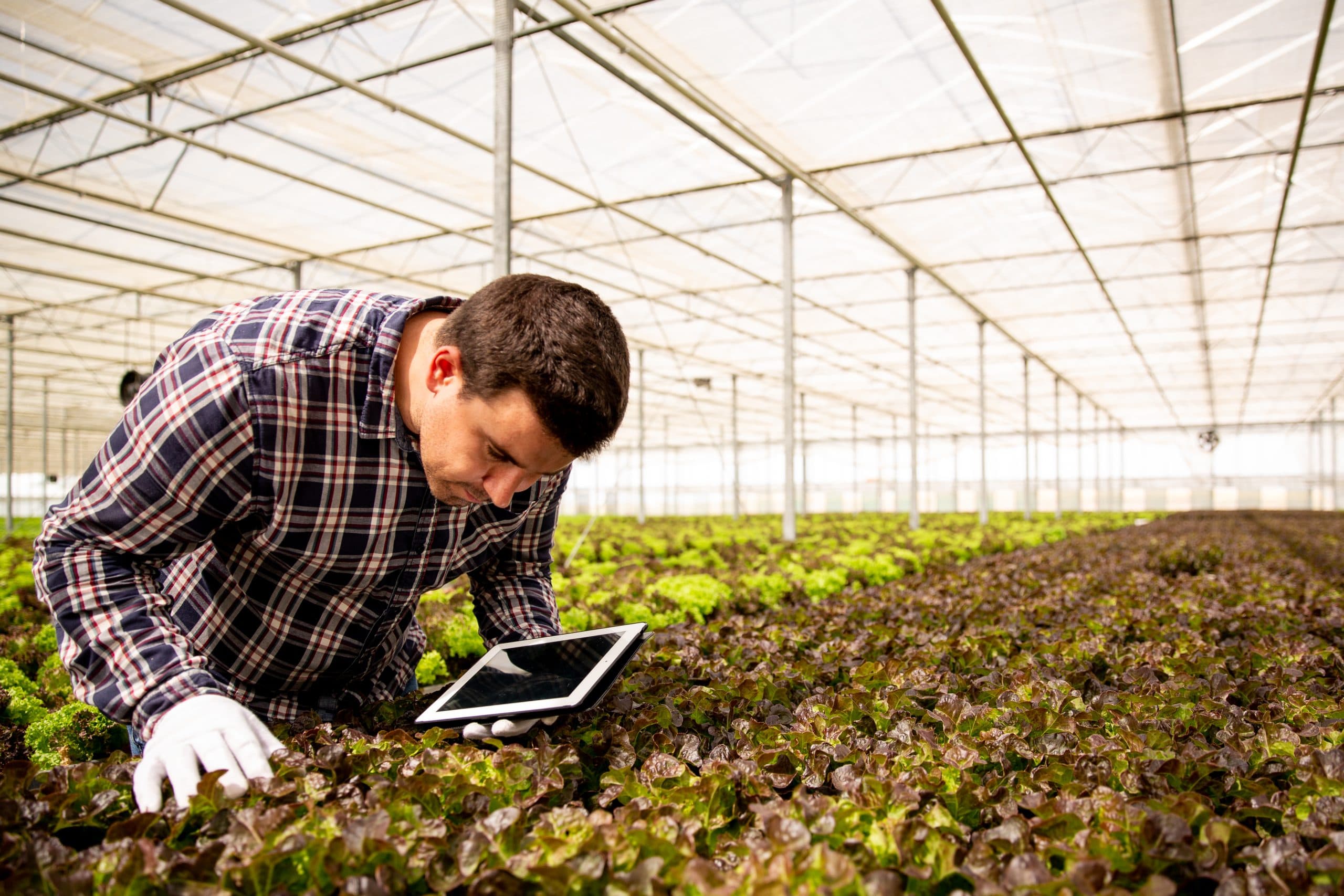 AGRONOMIADA 2025 – cea mai mare competiție studențească agronomică din România și Republica Moldova