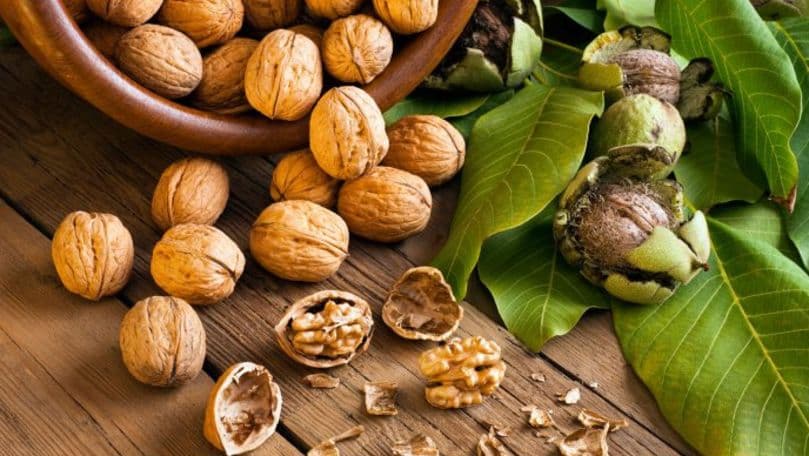 USDA: Producția mondială de nuci și migdale în creștere