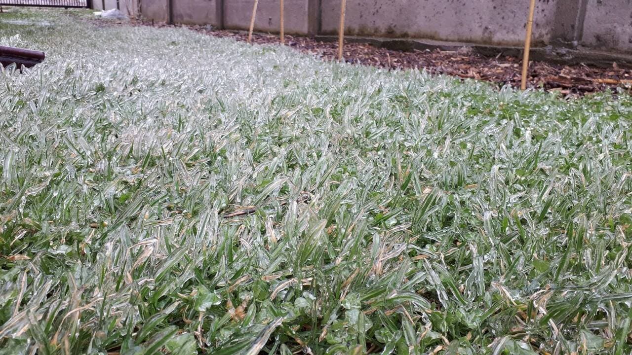 Cod galben de îngheț în Republica Moldova pe 13 mai: Recomandări pentru agricultori