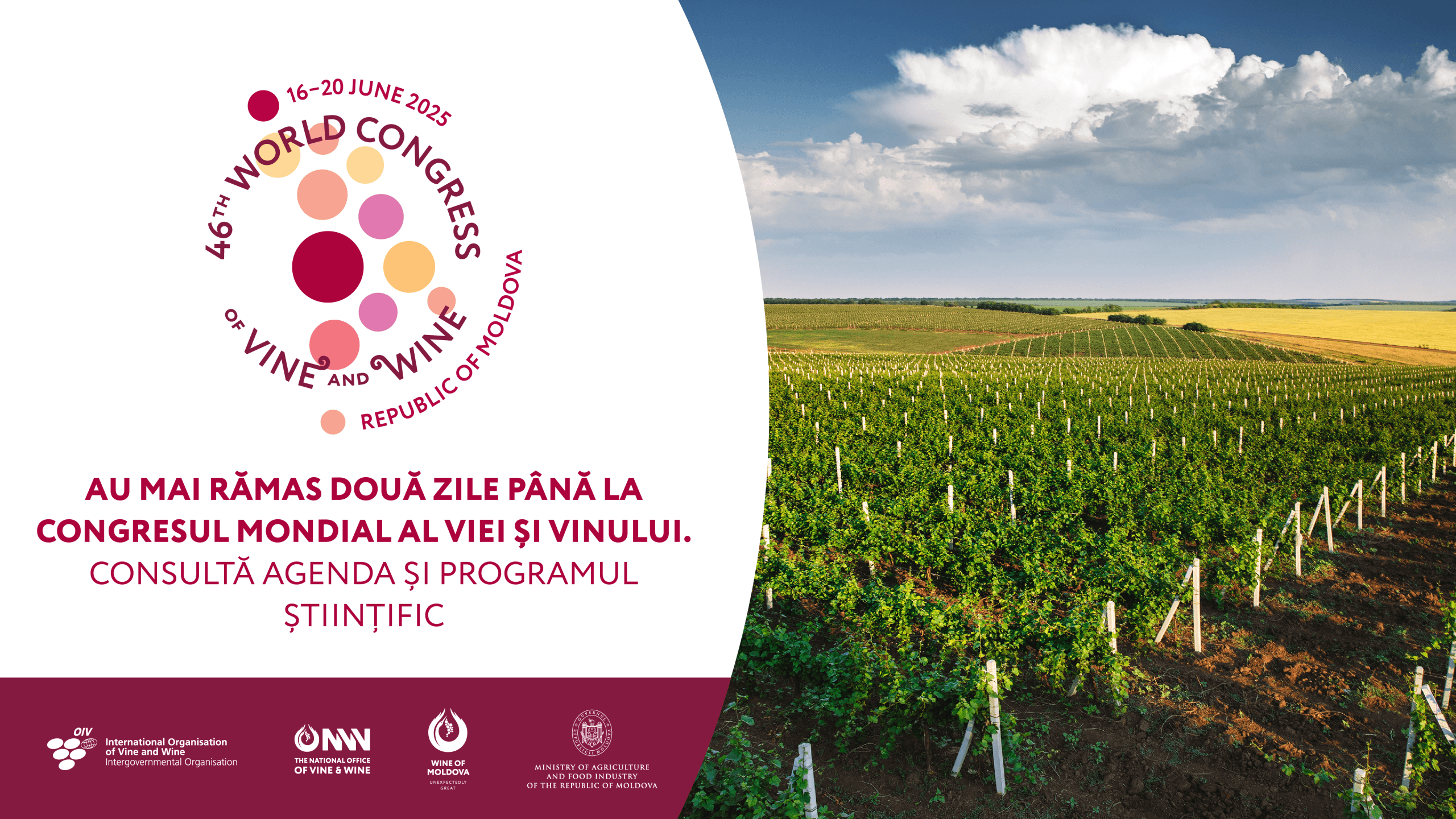 Au mai rămas doar 2 zile până la Congresul Mondial al Viei și Vinului – Chișinăul devine capitala globală a vinului!