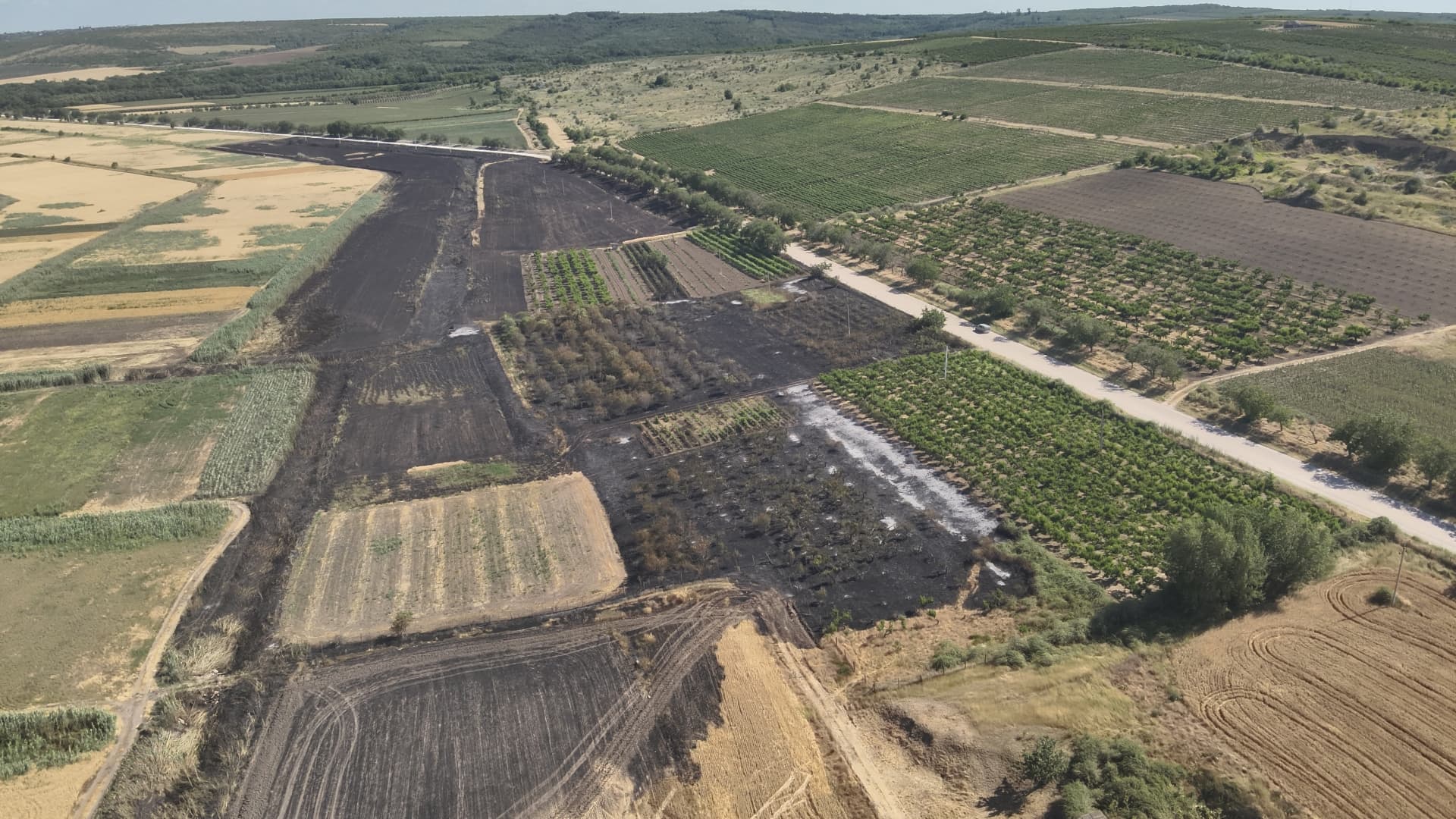 Incendii de vegetație în lanț – pompierii au intervenit în mai multe localități