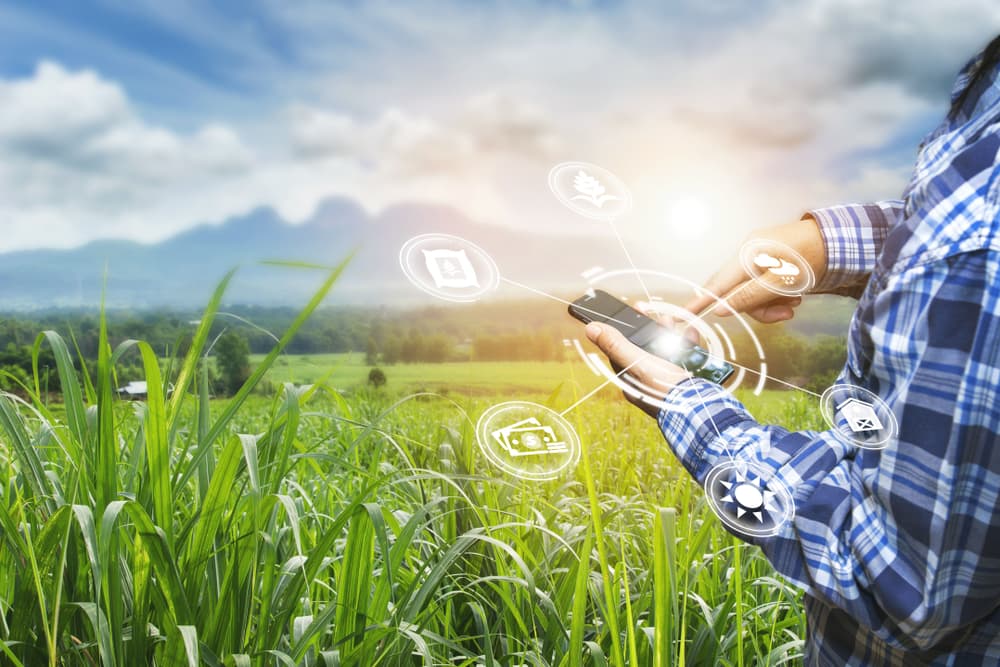 Două specialități noi în domeniul agricol, lansate la Universitatea Tehnică a Moldovei