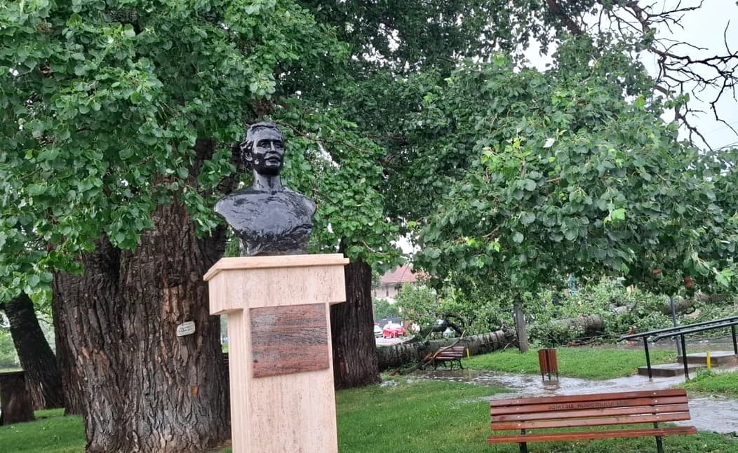 Unul dintre plopii care l-au inspirat pe marele poet Mihai Eminescu, a fost doborât de furtună