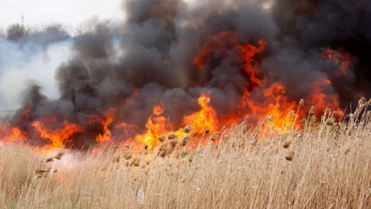 Cod galben de incendii în toată țara. Temperaturile urcă până la 35 de grade