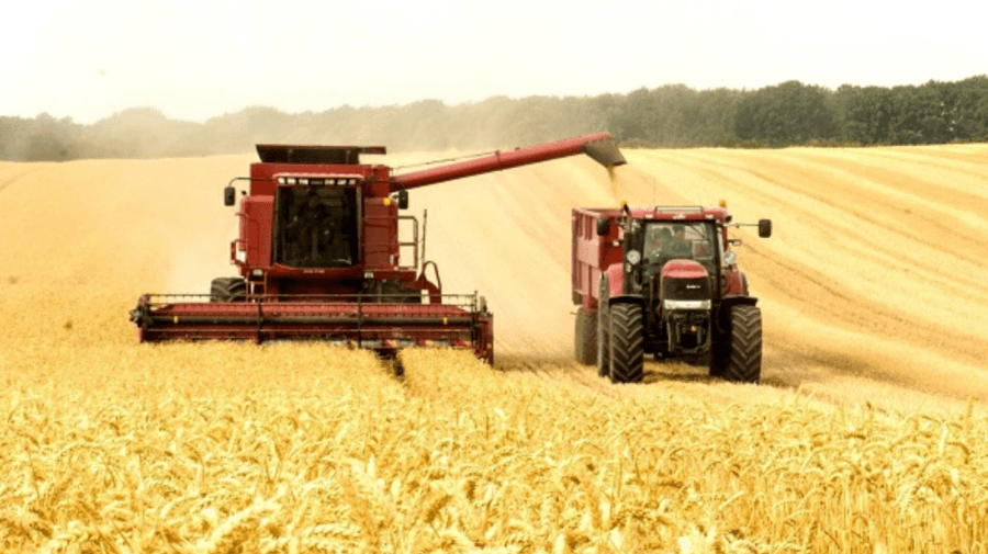 Numărul de agricultori moldoveni s-a redus de 5 ori în ultimii 25 de ani