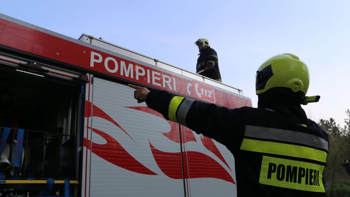 Remorcă încărcată cu lemne, mistuită de flăcări în Hîrbovăț