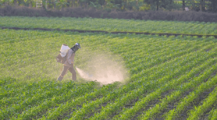 Evidența tratamentelor cu pesticide va fi digitală. Guvernul a aprobat un nou regulament