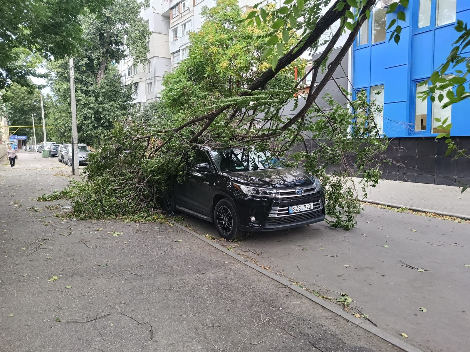 Vântul a doborât mai mulți copaci și a smuls foi de ardezie de pe acoperișul unui gimnaziu