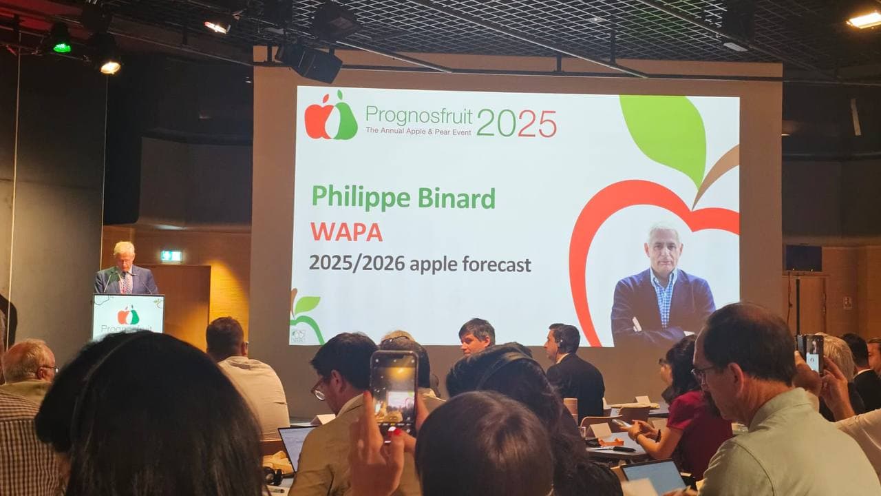 Horticultorii au adunat cu 32 la sută mai puține mere comparativ cu anul 2024