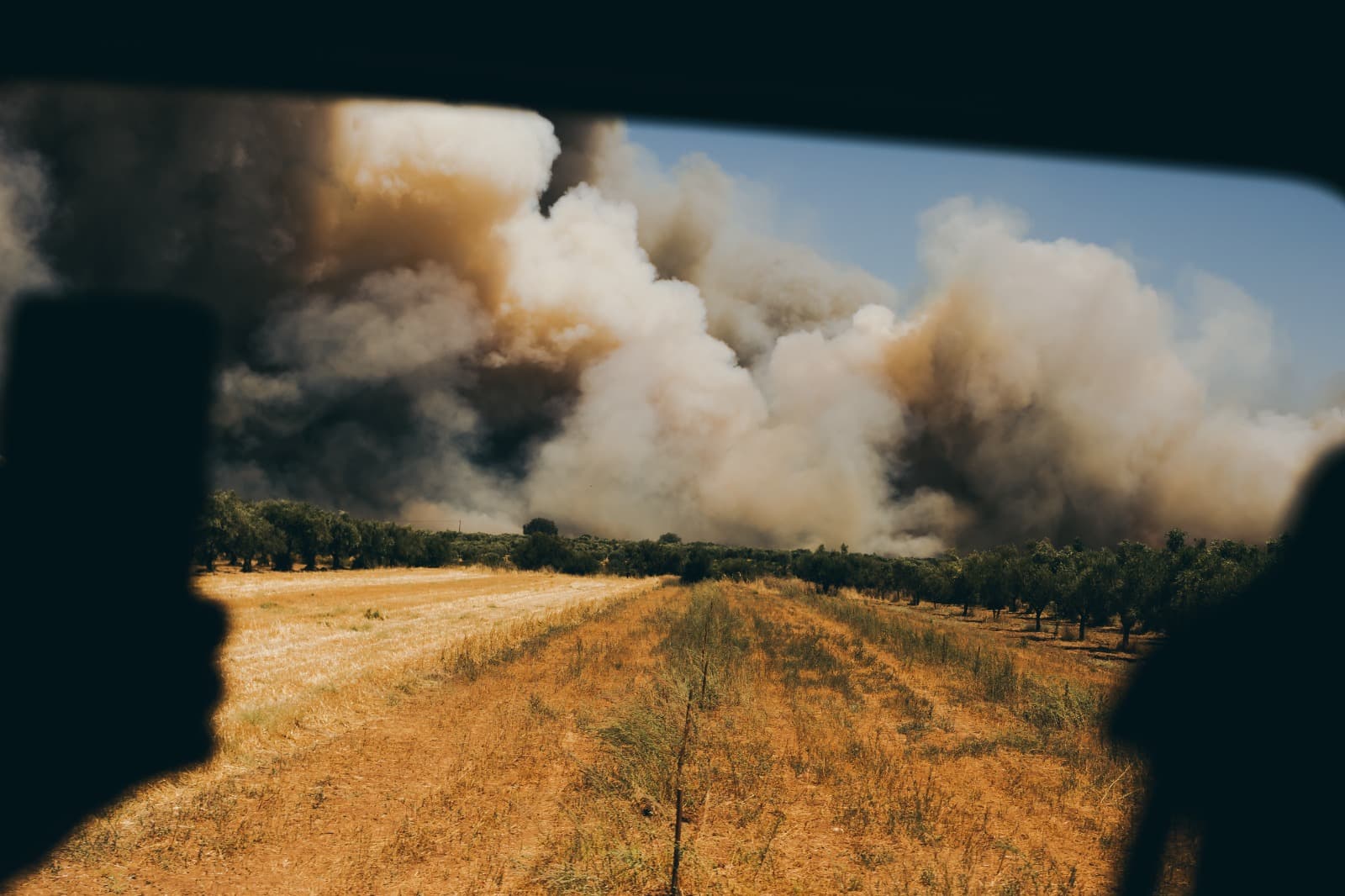 Grecia este învăluită de incendii