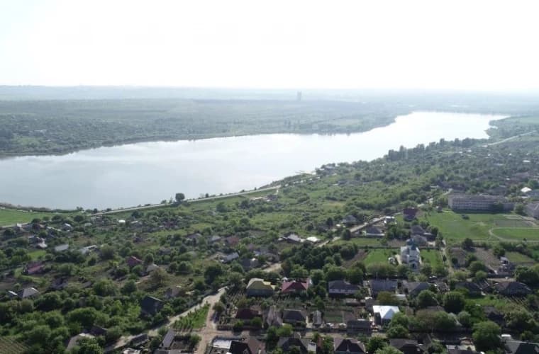 Sute de mii de pești din lacul Dănceni au murit din cauza temperaturilor ridicate și lipsei de oxigen