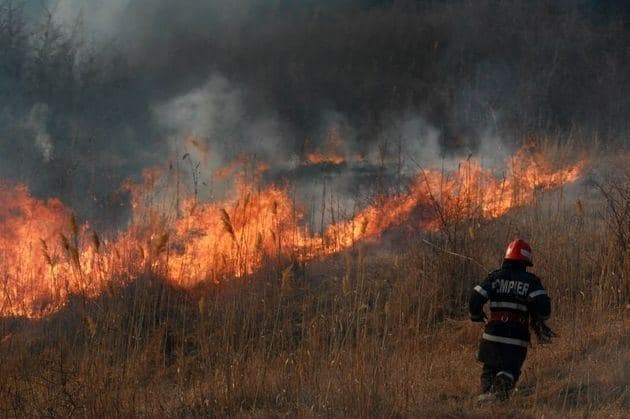 Spania și Portugalia se confruntă cu incendii de vegetație