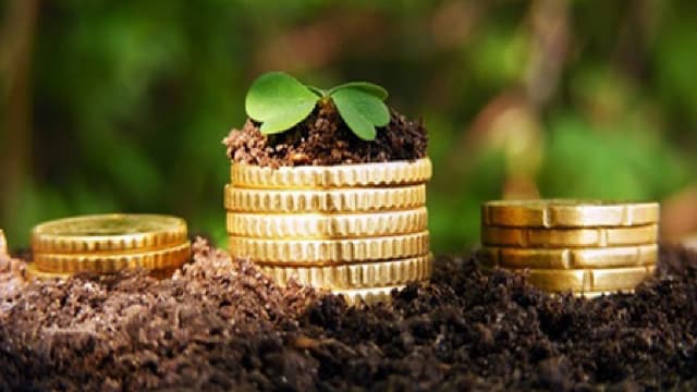 AIPA a autorizat plăți de 14 milioane lei pentru fermieri, săptămâna trecută