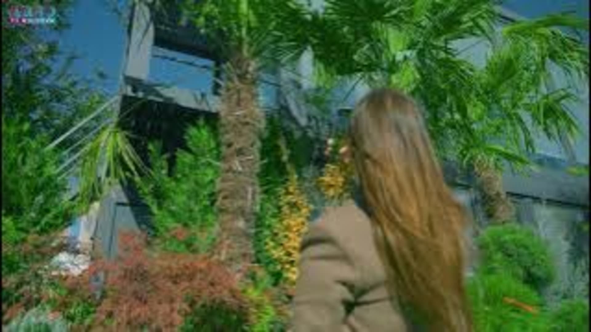Lux Garden - Grădina ta merită ceva special