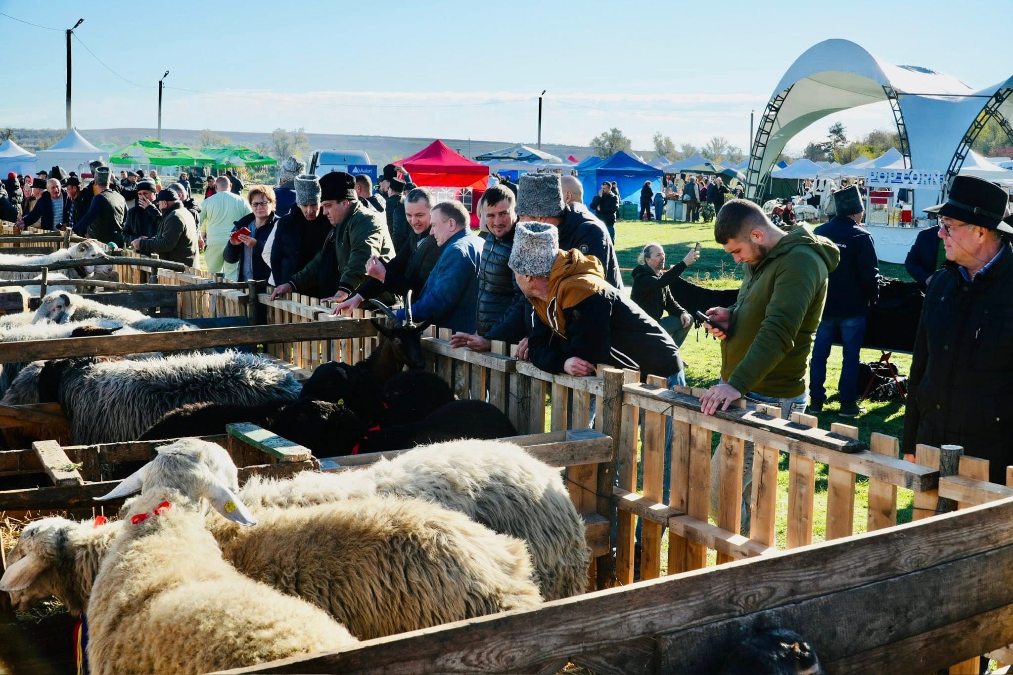 Ediția a IX-a a Festivalului Internațional „Miorița -Laie, Laie Bucălaie”