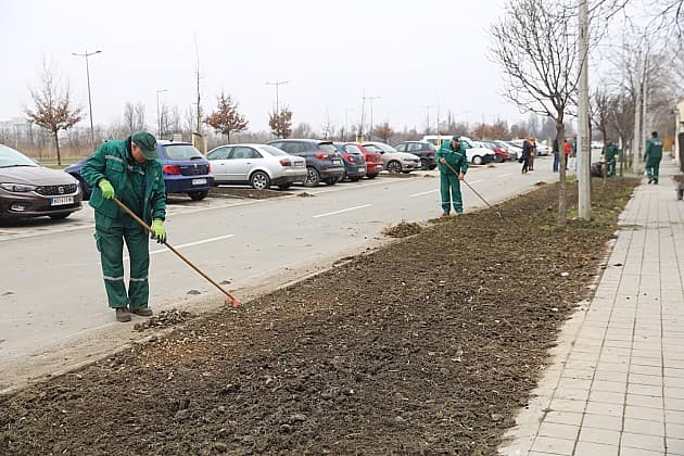 În Capitală a început plantarea de toamnă a arborilor și salubrizarea
