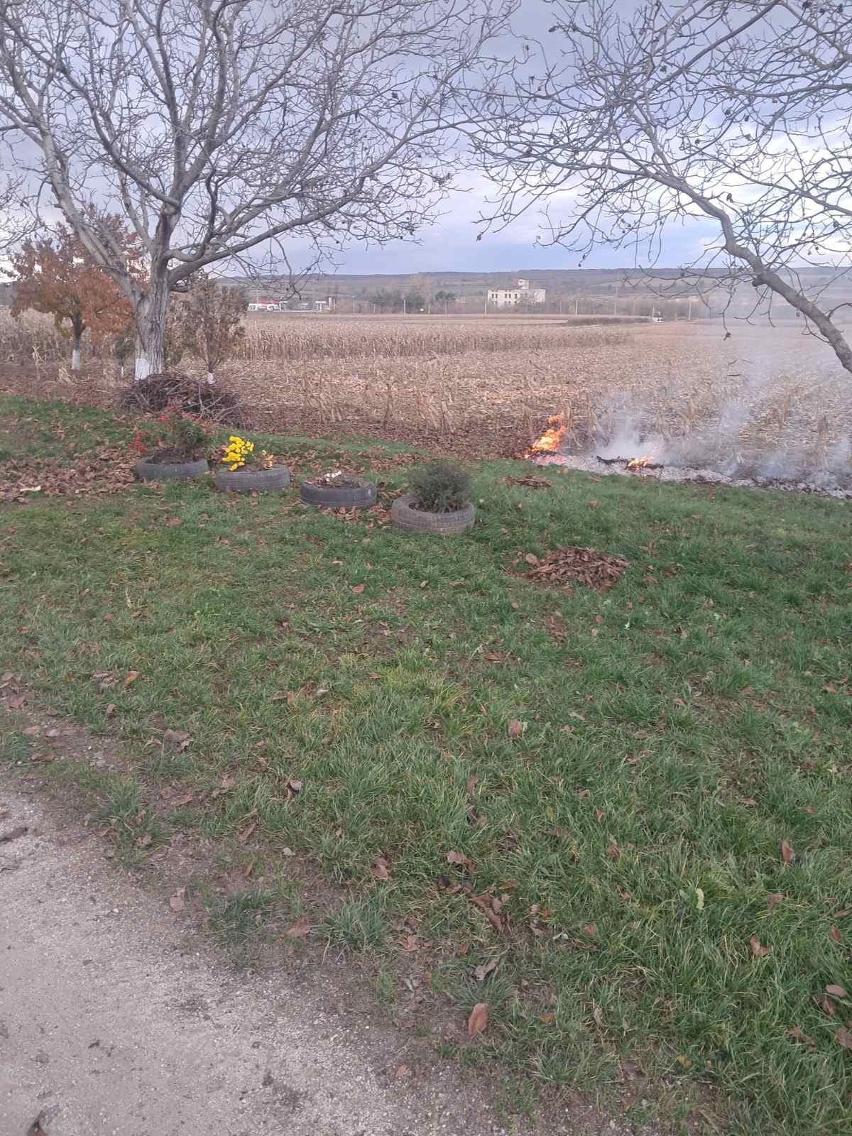 Inspectorii de mediu din raionul Glodeni desfășoară razii pentru prevenirea arderii vegetației uscate