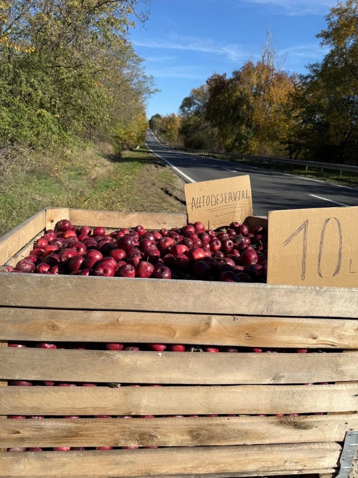 Mere la auto-deservire pe drumul Criuleni-Chișinău: Inițiativă autentică apreciată de trecători