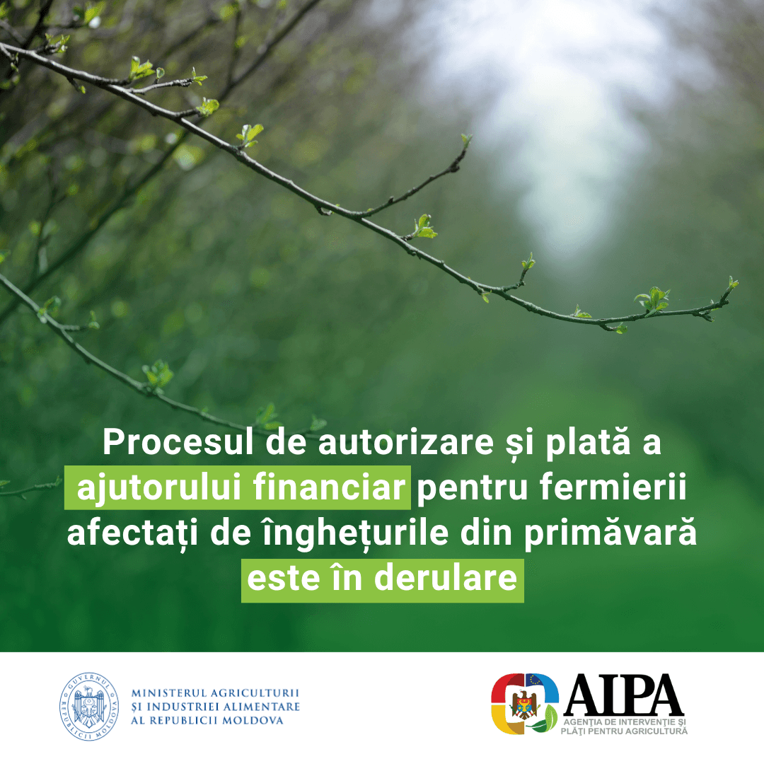 Fermierii au început să primească sprijin financiar după înghețurile din primăvară