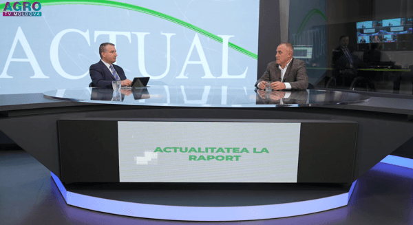 Un an agricol dificil: Peste 8200 hectare de livezi afectate de înghețuri și ploi în 2025