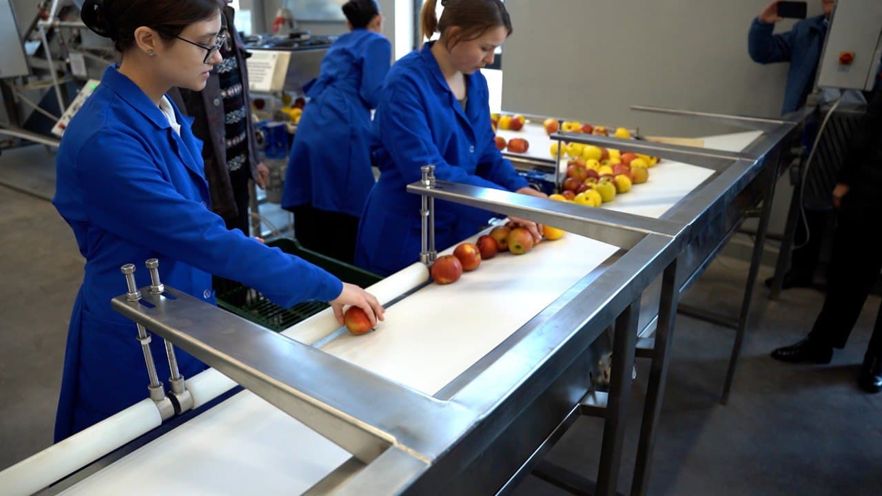 1,3 milioane de euro investite în modernizarea Colegiului Tehnic Agricol din Svetlâi