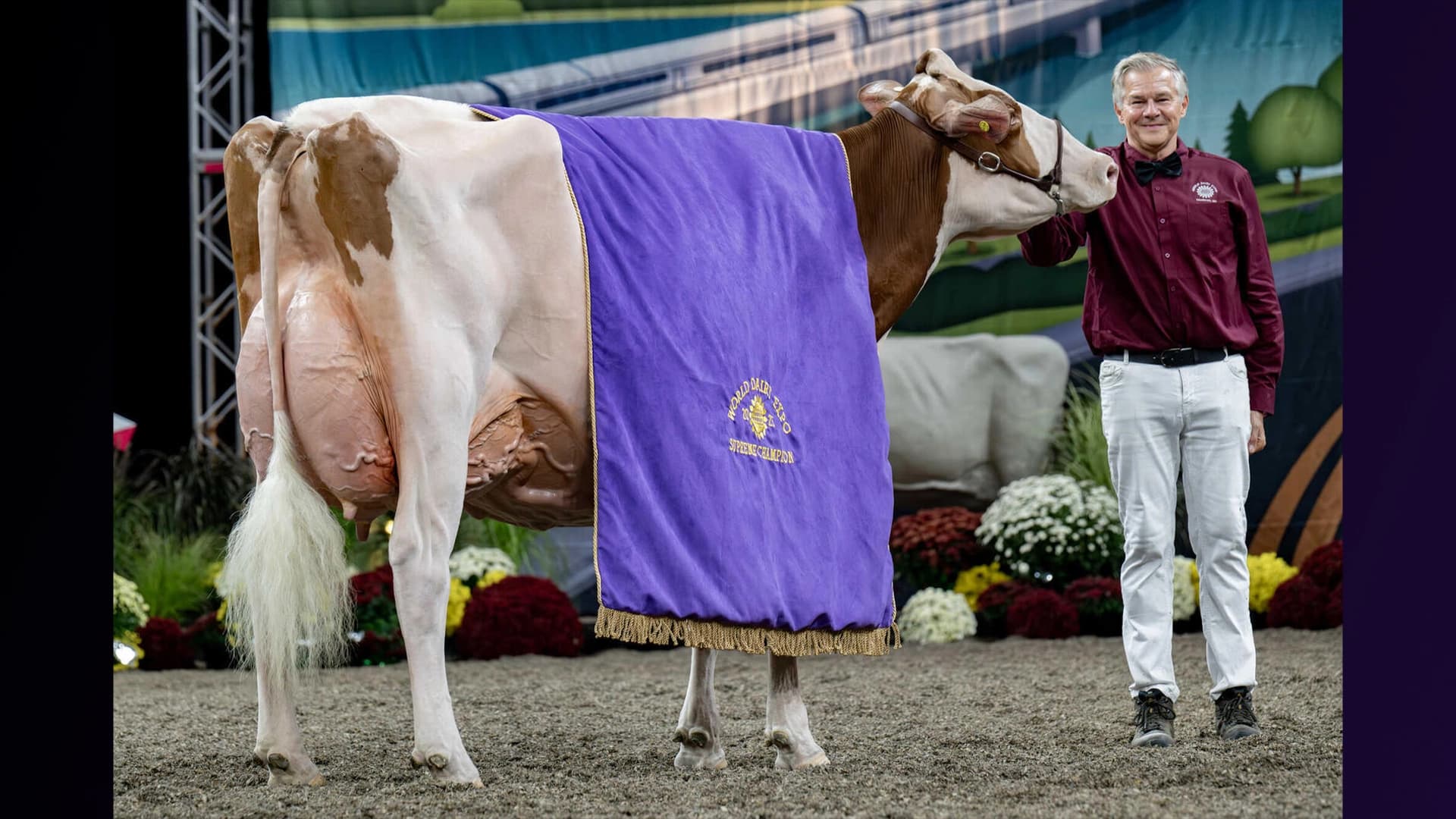 Cea mai bună vacă de lapte din lume, încoronată la World Dairy Expo 2025