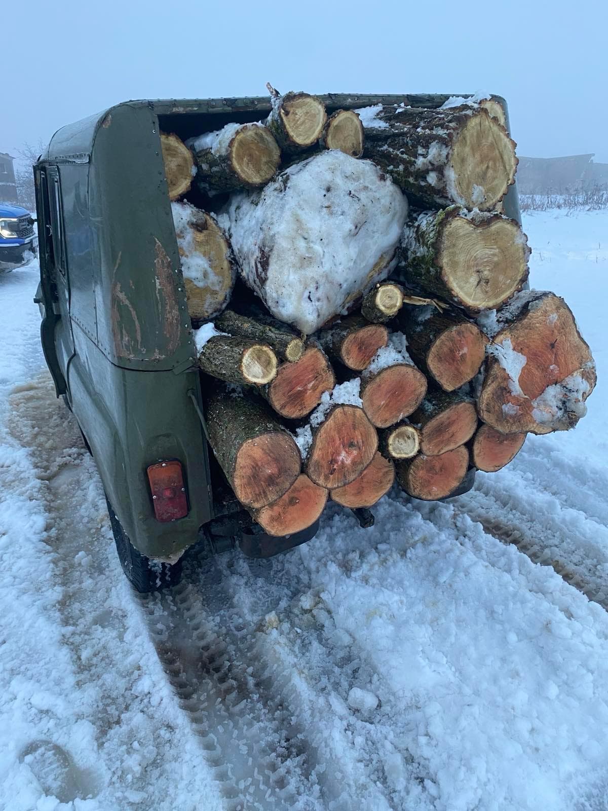 Transport ilegal de lemn, depistat la Ocnița