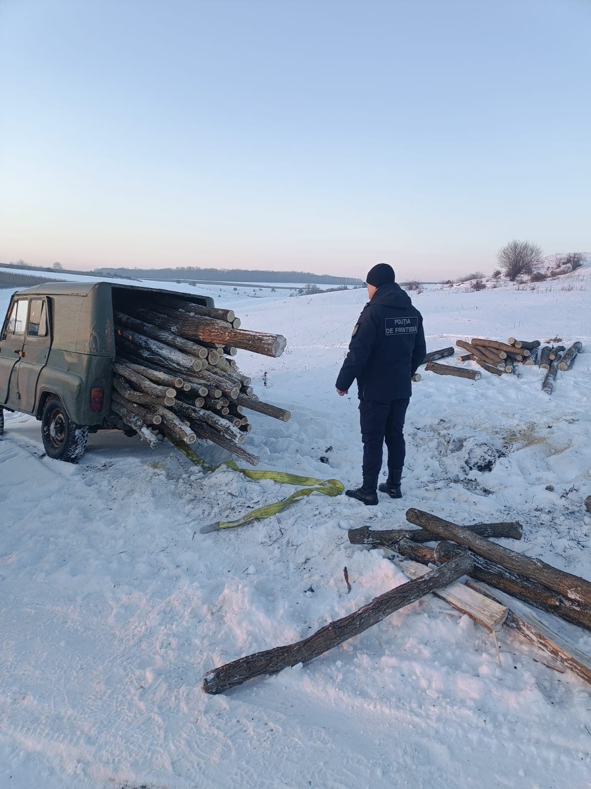 Tăiere ilegală de arbori la Ocnița. Un bărbat a fost amendat