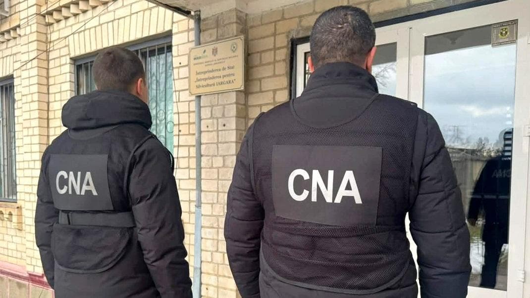 CNA investighează delapidarea fondurilor pentru păduri. 4 milioane de lei prejudiciu