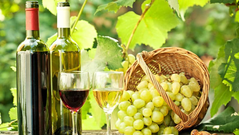 Vinificatorii vor putea să exporte mai ușor vinuri în SUA