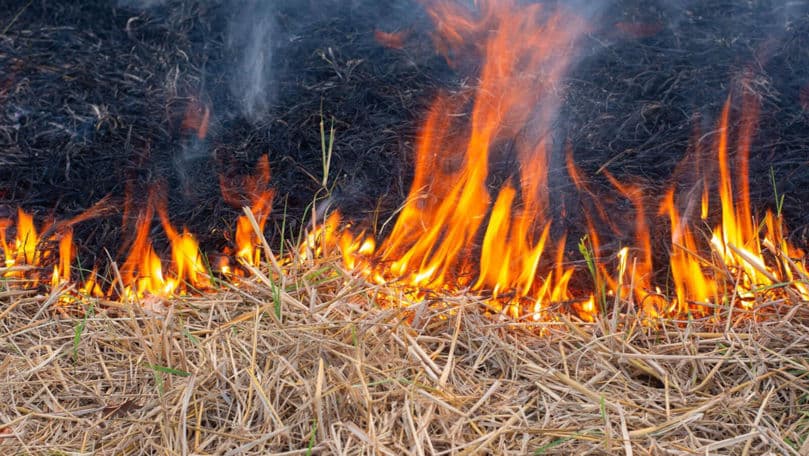Un copil de cinci ani a murit într-un incendiu la Șoldănești