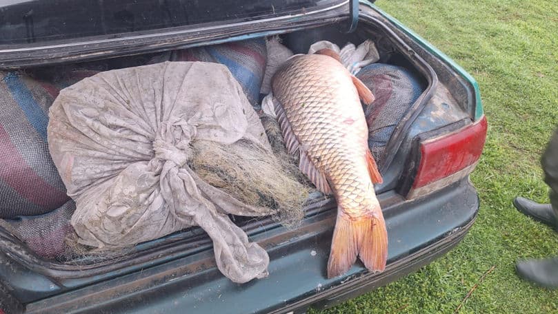 Braconaj piscicol de 149 mii de lei la lacul Beleu