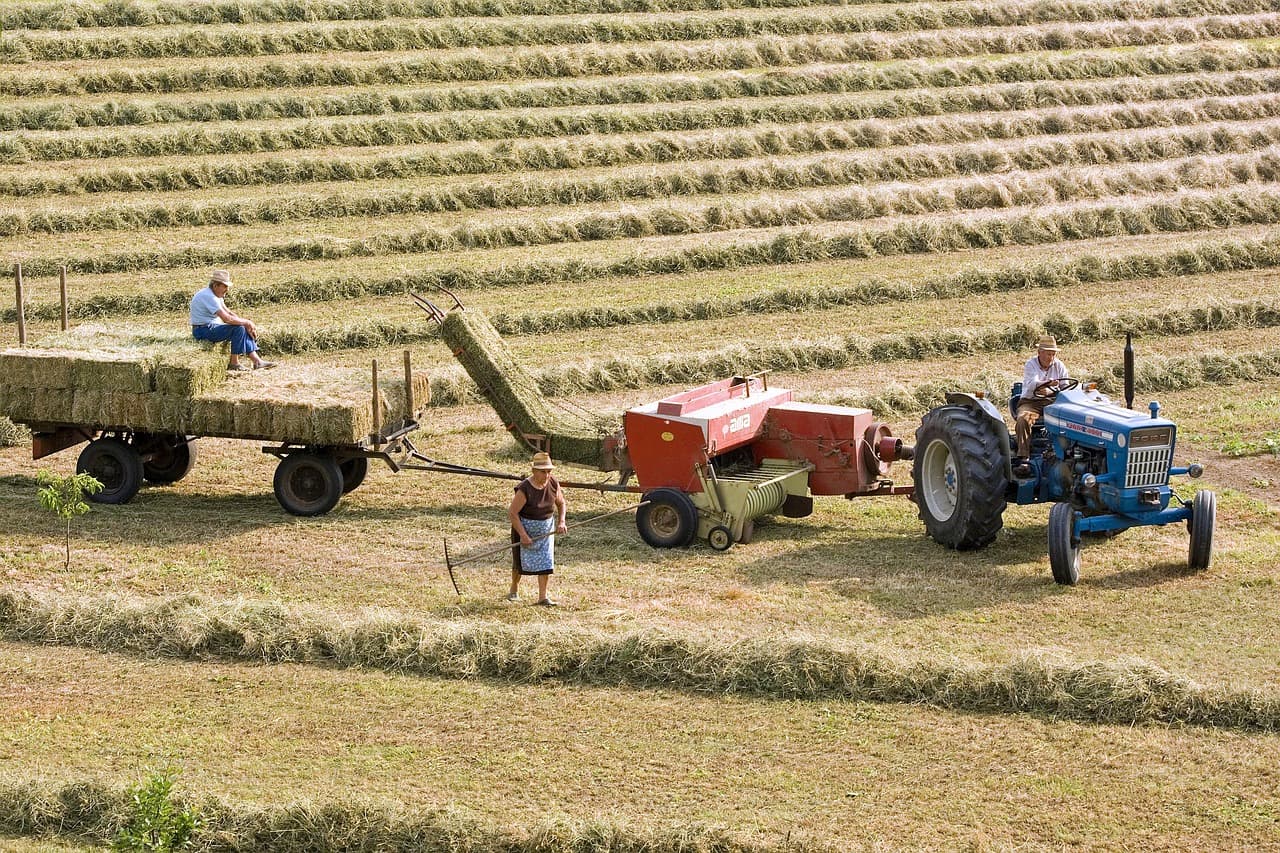 Exporturile agroalimentare ajung la 1,79 miliarde de euro