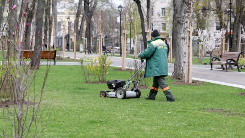 În capitală va fi aplicată soluția chimică pentru combaterea căpușelor