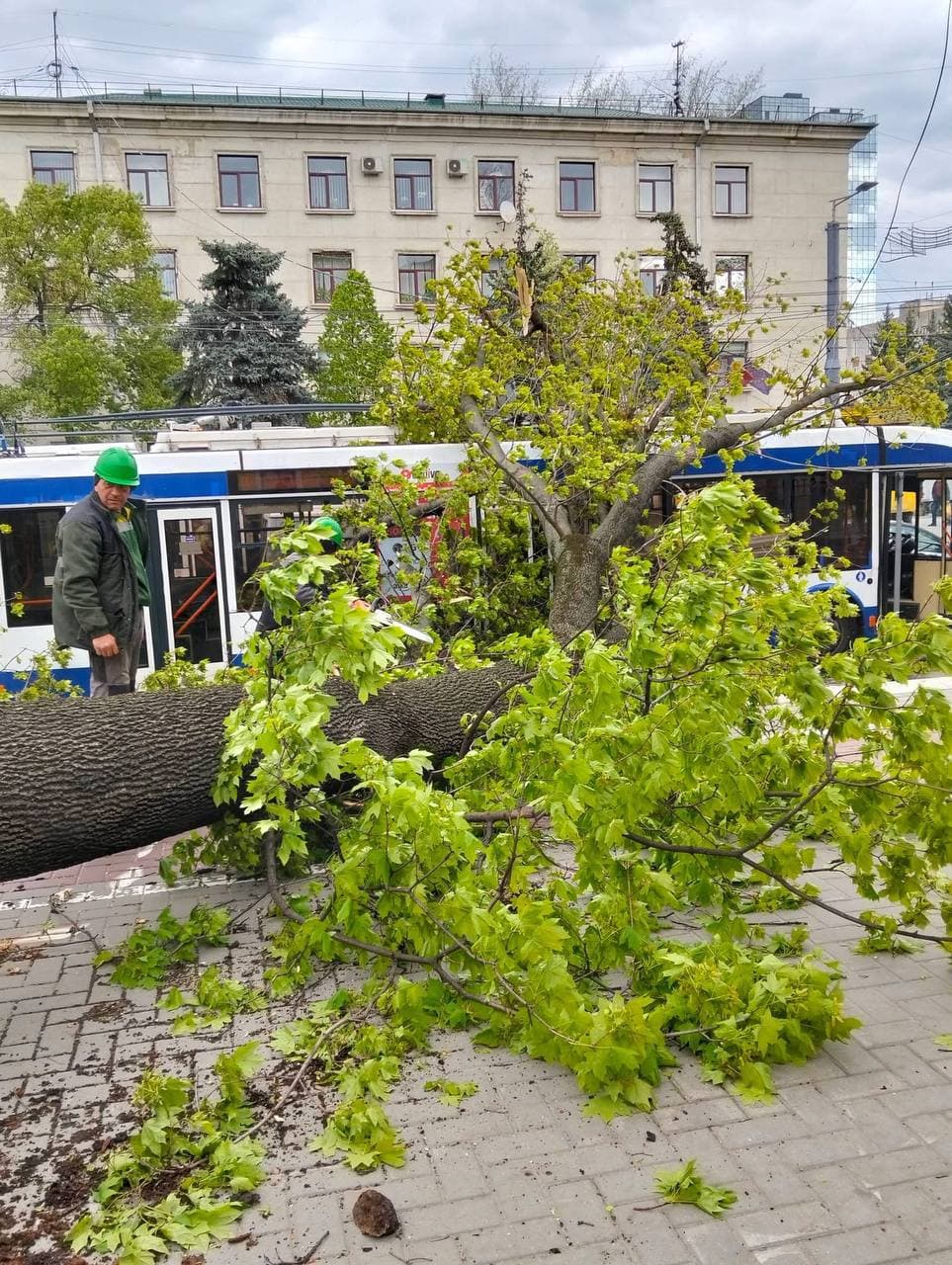 Vântul puternic a făcut ravagii în capitală. O ramură masivă a căzut peste un troleibuz