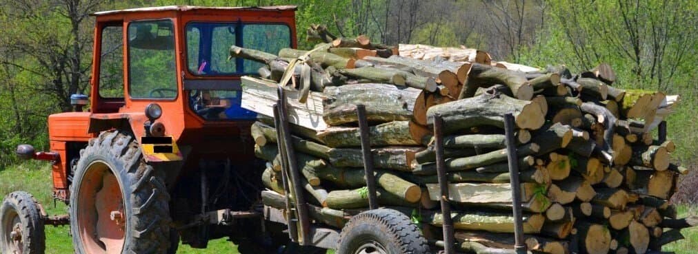 Transport ilegal de lemne, depistat la Călărași