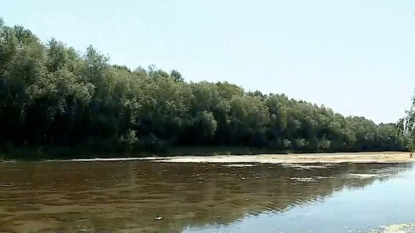Dunărea și Rinul, aproape secate