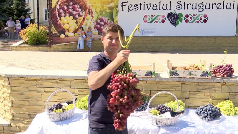 Festivalul Srugurelui la Cimișlia