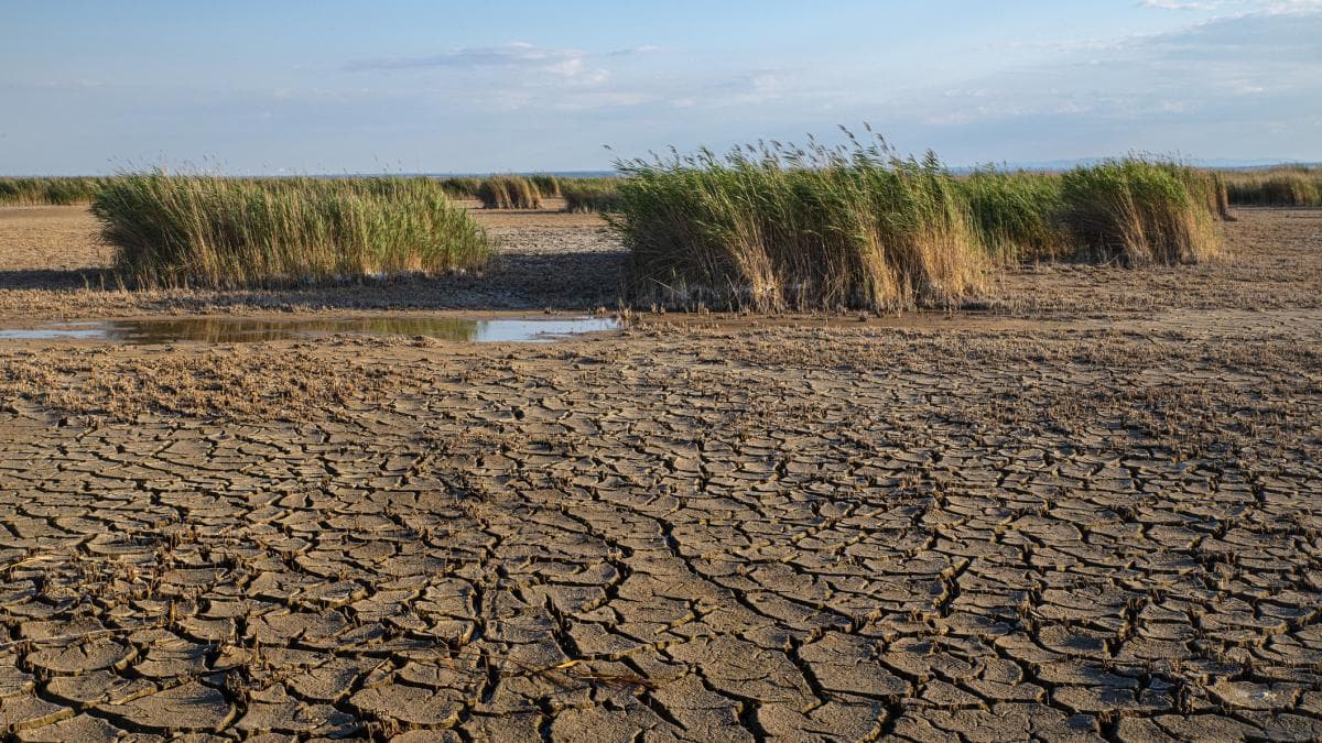 Ministrul Mediului, vine cu măsuri pentru dezastre naturale